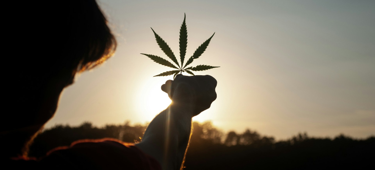 Osoba koja drži list konoplje od koje se prave prirodni materijali 