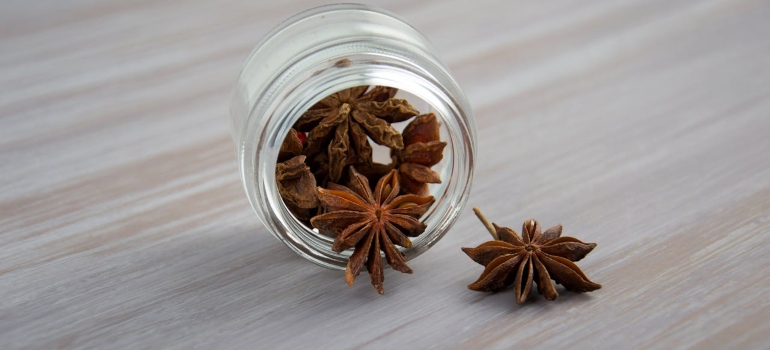 Zvezdasti anis u maloj tegli